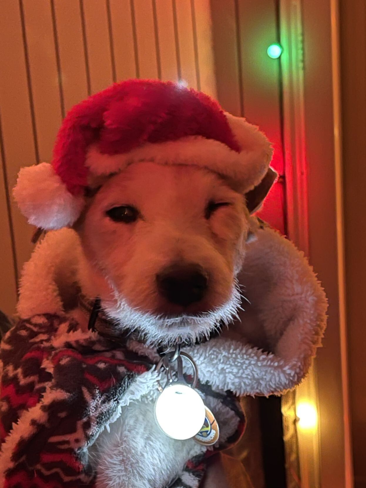 Sammy